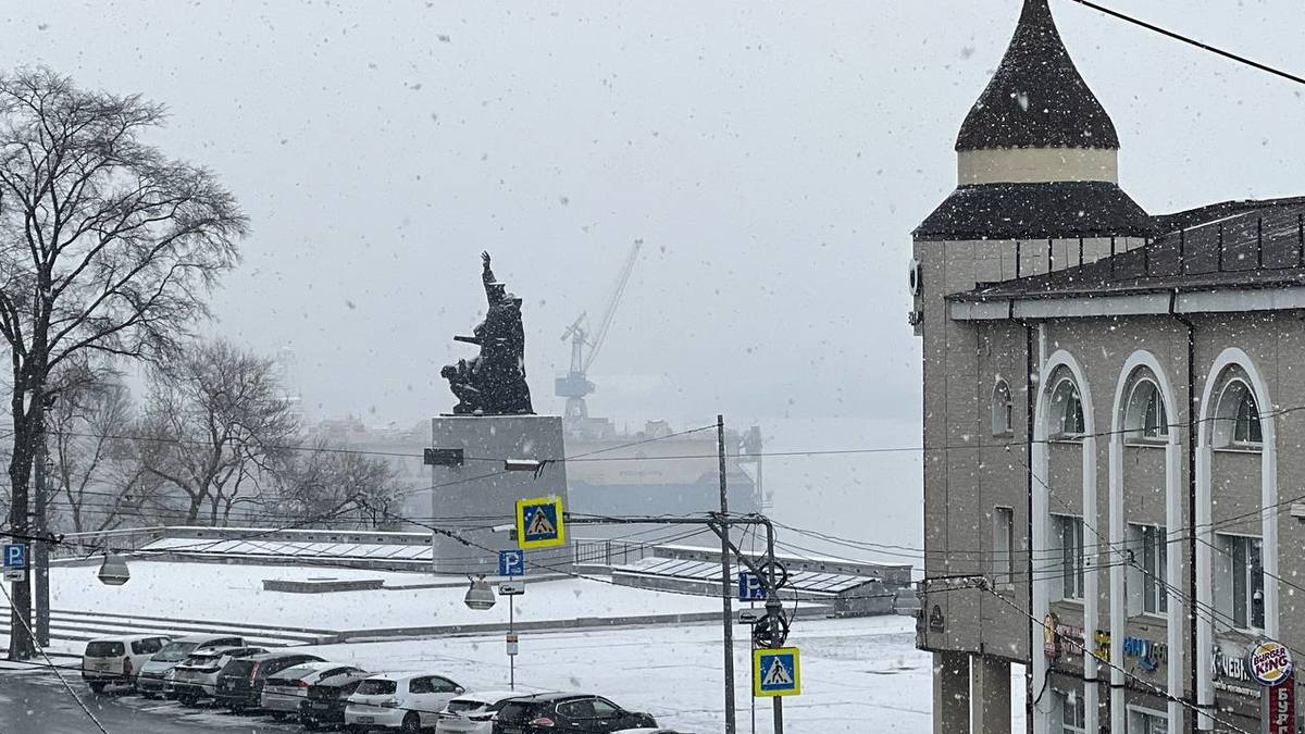 Фото: РБК Приморье