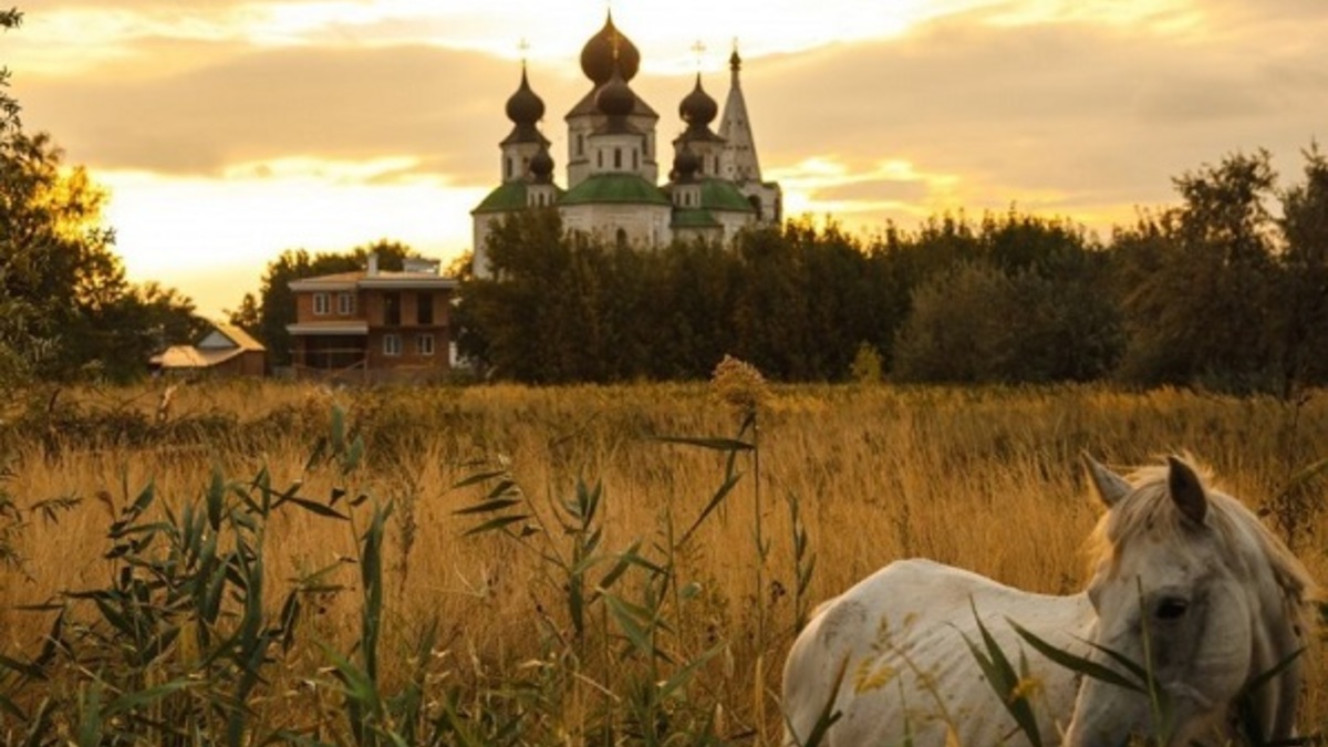 Фирма из Екатеринбурга покажет «Выходные на Вольном Дону» за 1,5 млн руб. —  РБК