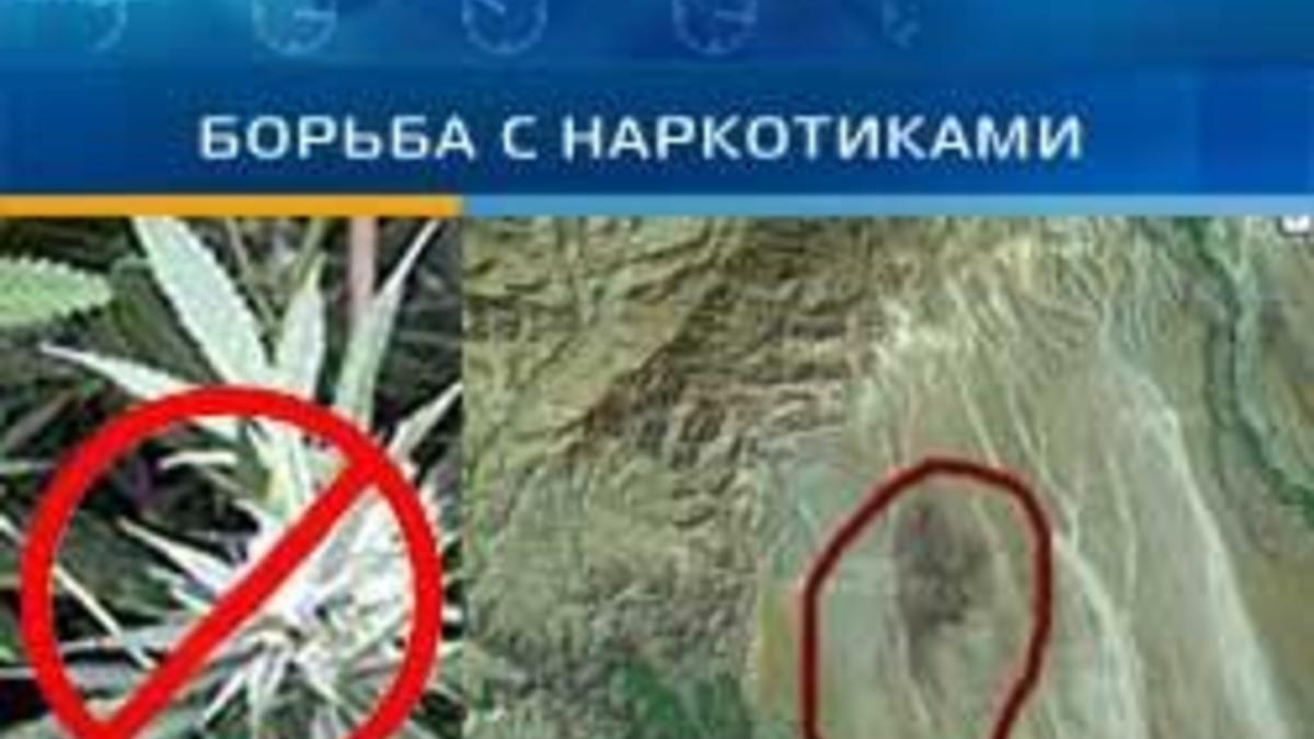 Федеральное агентство по обороту наркотикам браузер тор как подключить hyrda