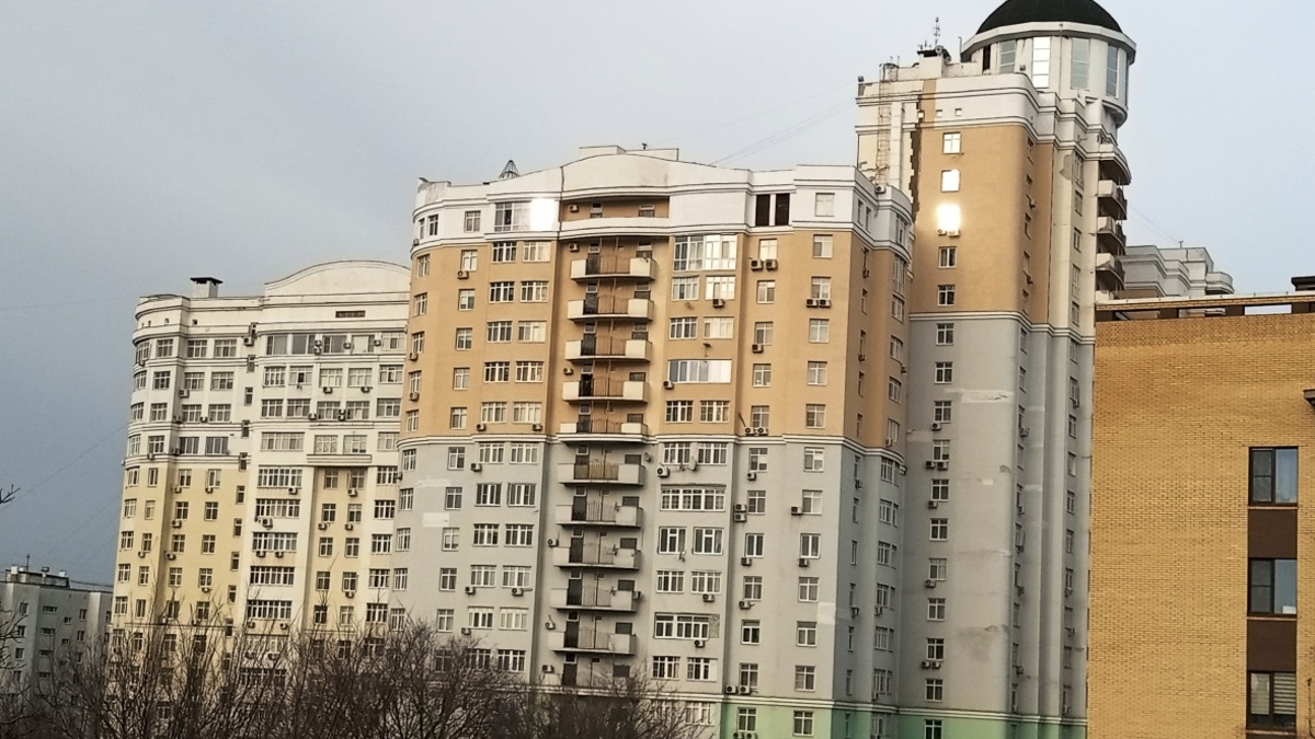 Фото: РБК Черноземье