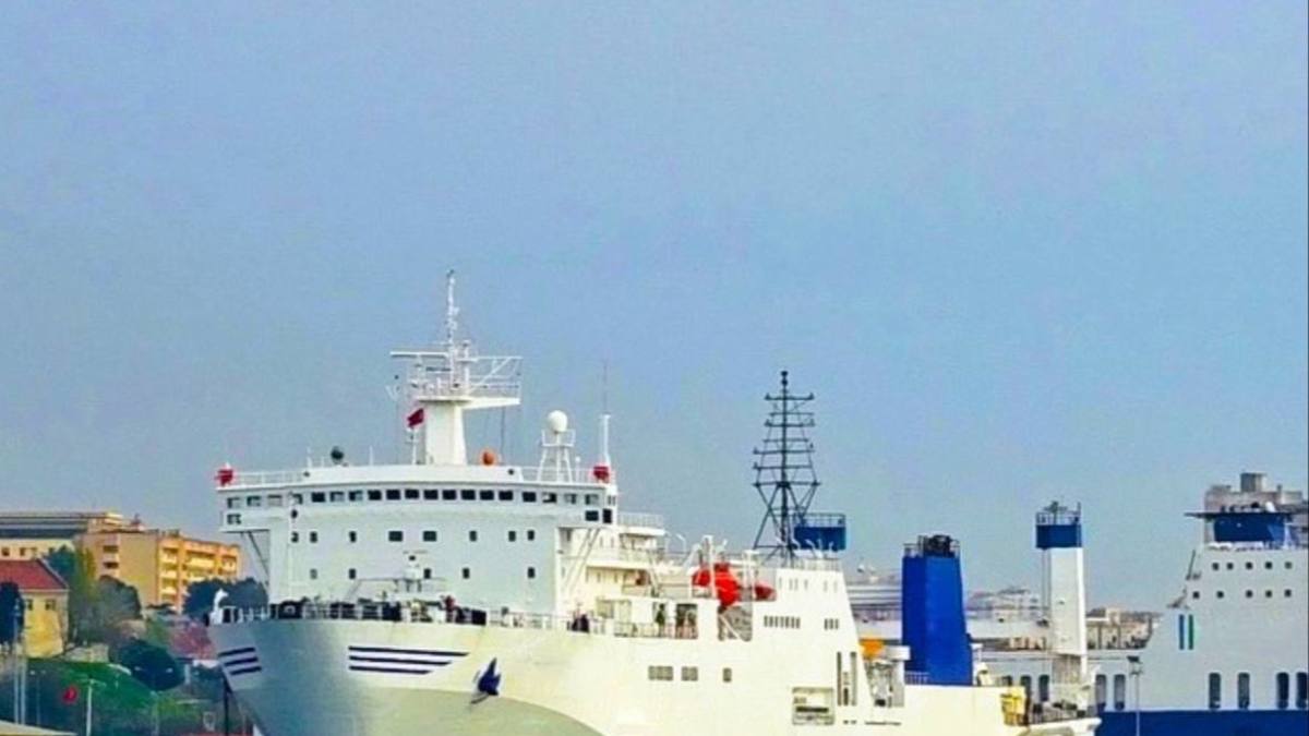 Фото: https://t.me/FerrylineKaliningrad/240