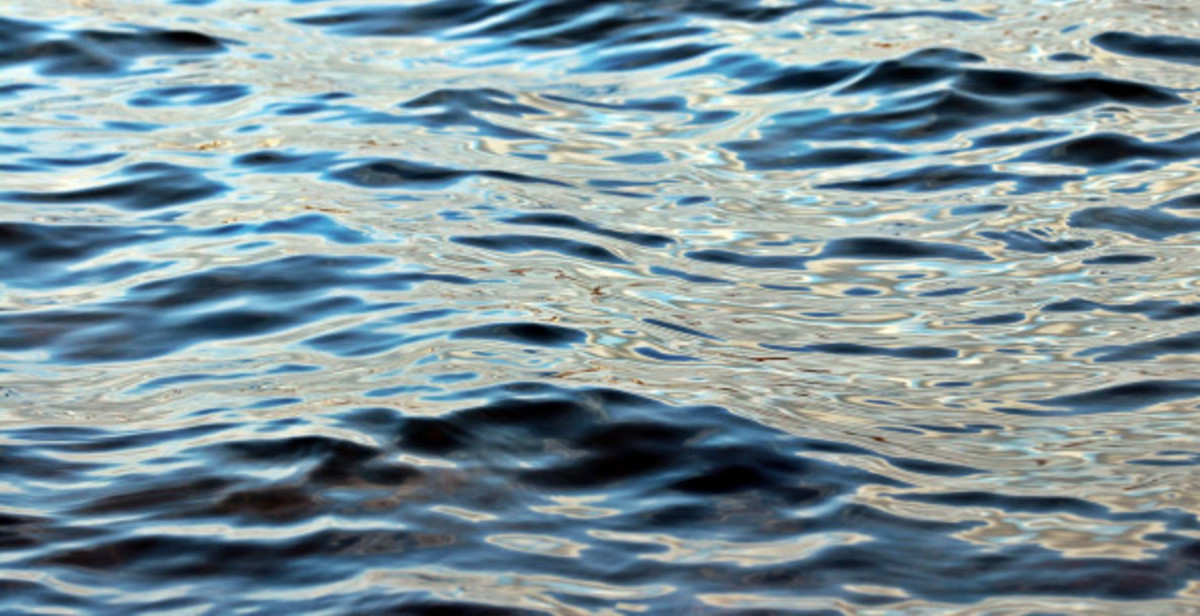 Фото: Pixabay