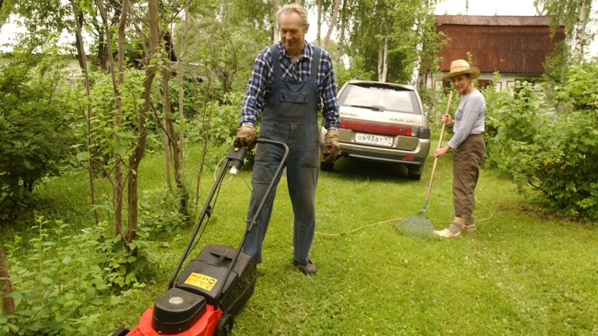 Опрос: у половины городских жителей России есть дачи :: Загород :: РБК  Недвижимость