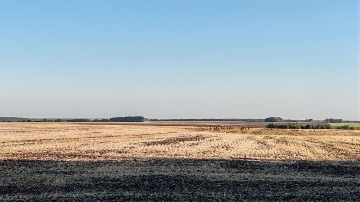 Фото: РБК Черноземье