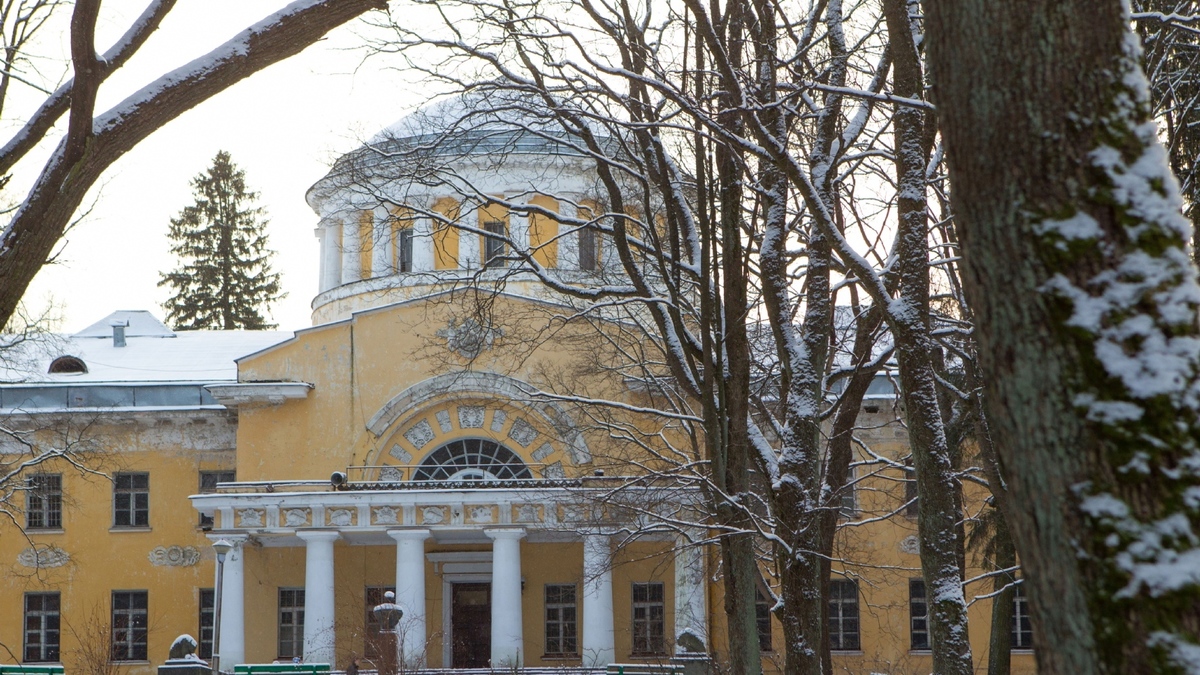 В Петербурге исторический парк с усадьбой превратят в курортный комплекс —  РБК