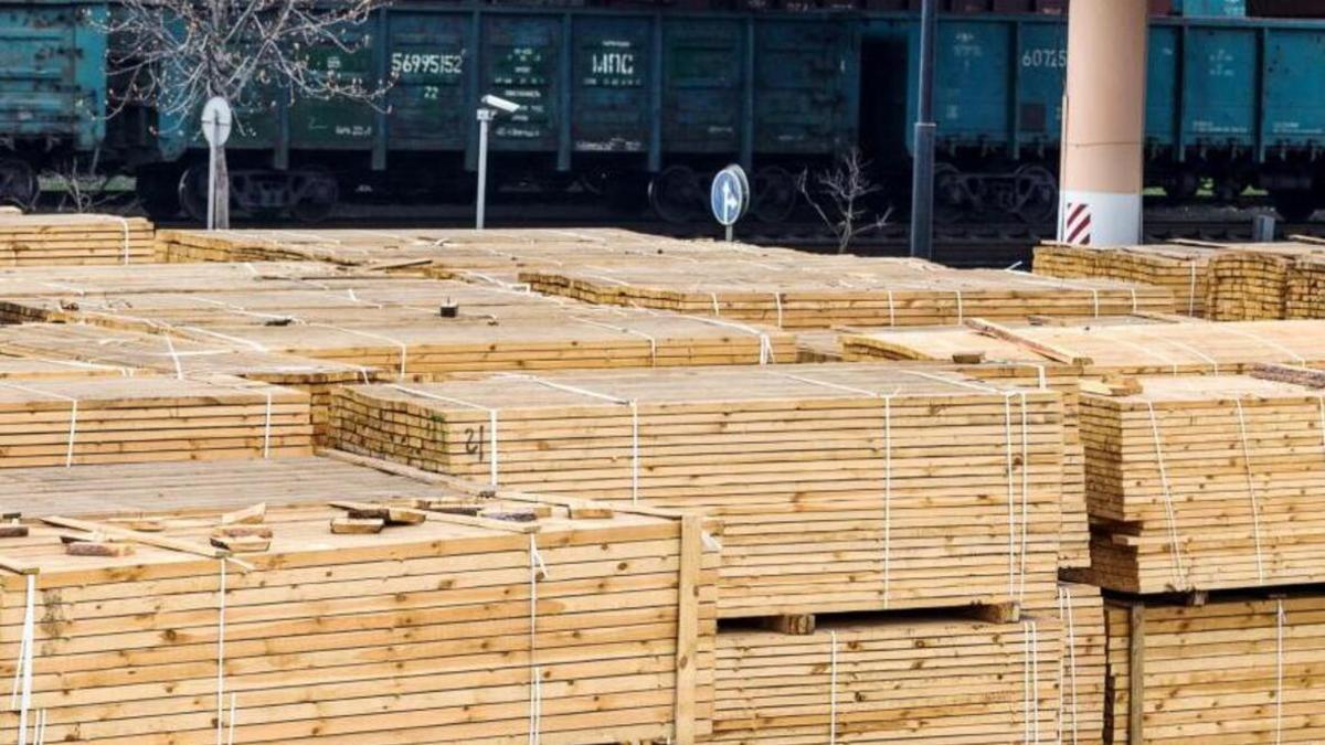 Фото: Пресс-служба правительства Карелии / gov.karelia.ru