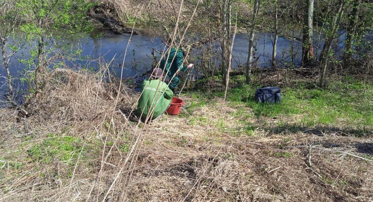 Фото: Управление Росприроднадзора по Нижегородской области и Республике Мордовия