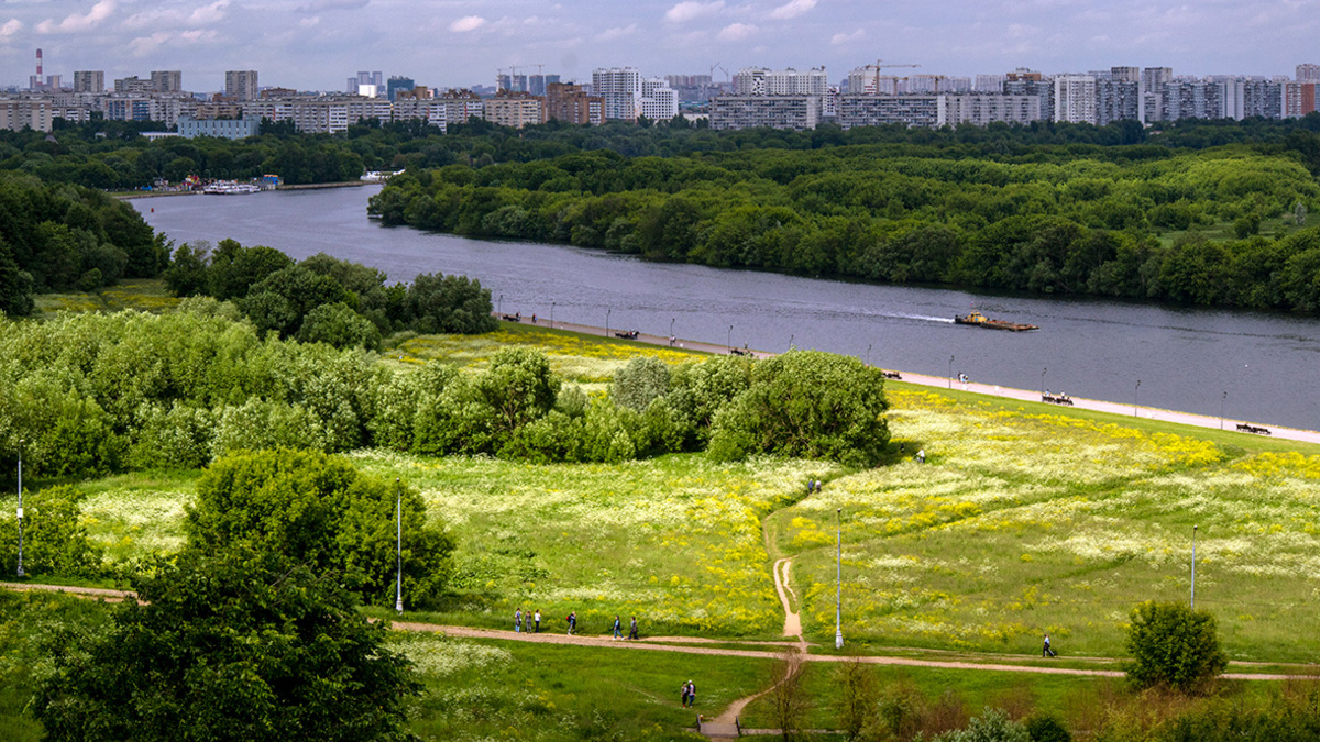 Два вертолета вылетели на помощь пострадавшим в парке Коломенское — РБК