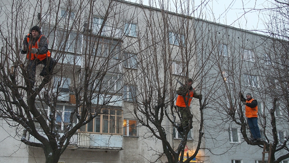 В этом году в Москве аттестовано более 1,4 тыс. управдомов :: Городская  недвижимость :: РБК Недвижимость