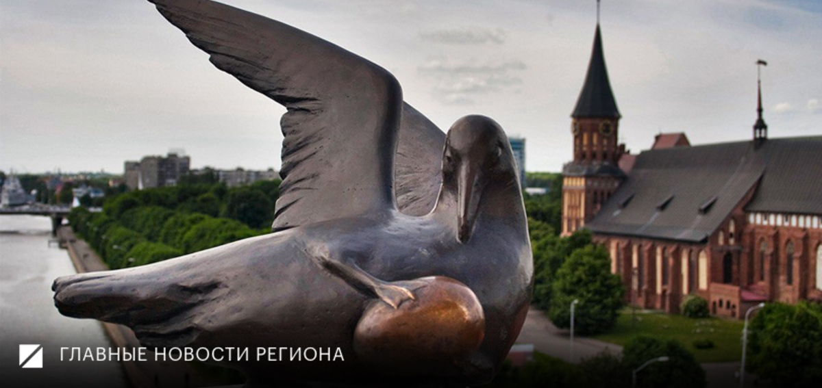 Фото: Роман Родионов