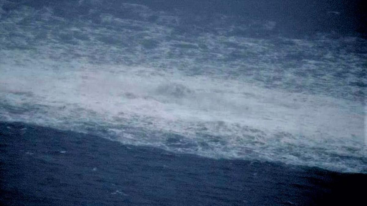Фото: Swedish Coast Guard / Getty Images