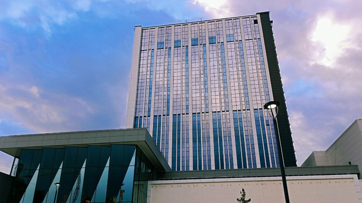 Фото: Алексей Коваленок / РБК Новосибирск