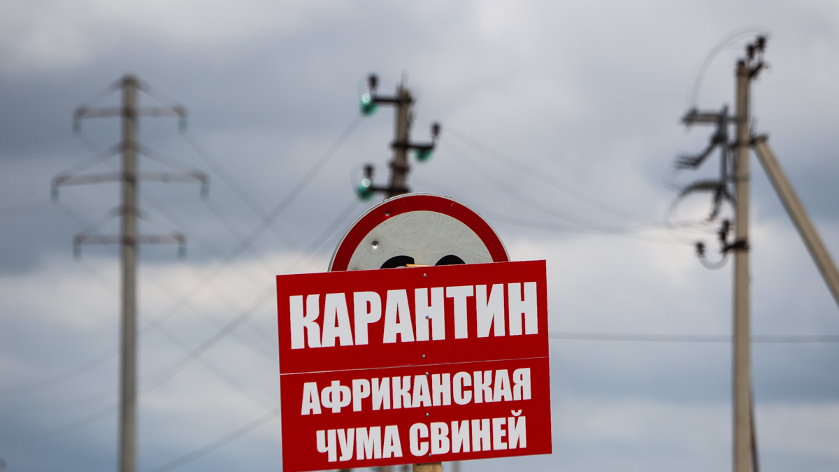 Фото: Александр Подгорчук