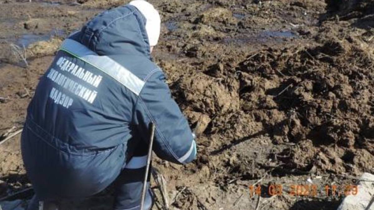 Фото: пресс-служба Центрально-Черноземного управления Росприроднадзора