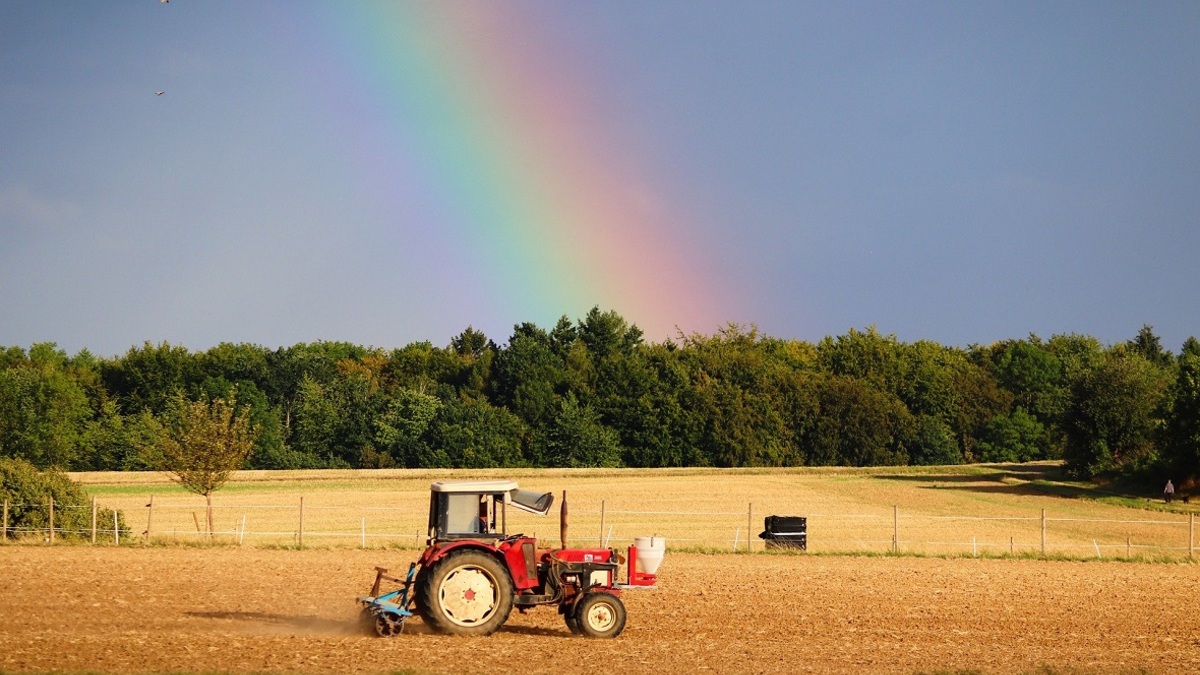 Фото: pixabay.com