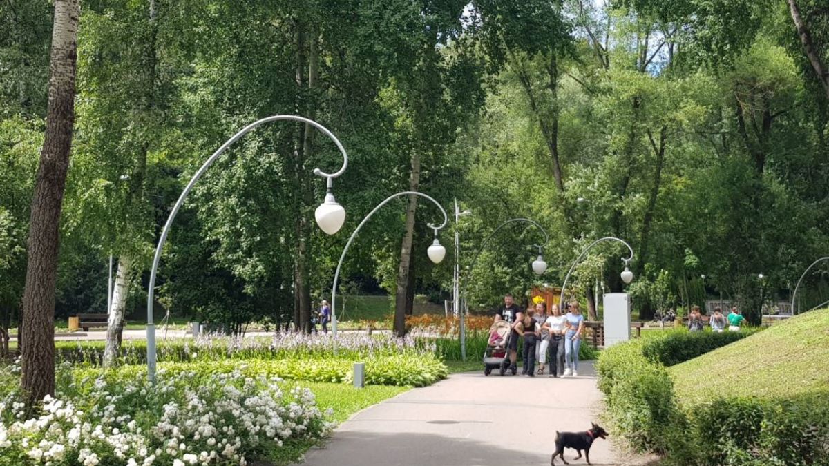 Фото: РБК Черноземье