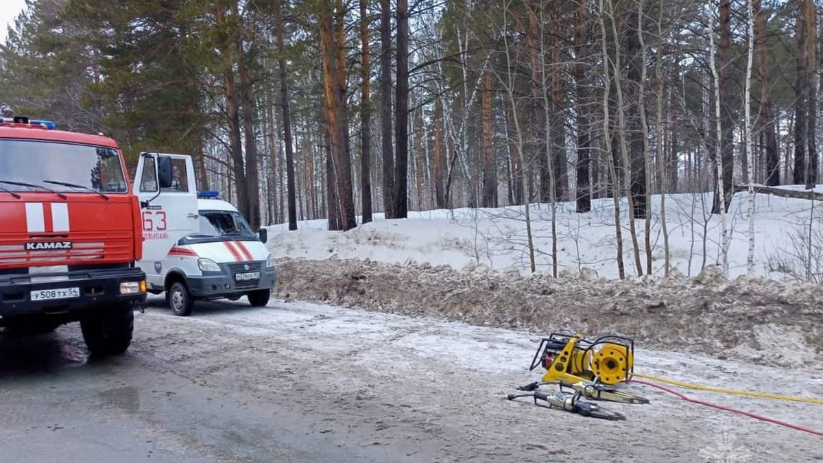 Фото: ГУ МЧС по Новосибирской области