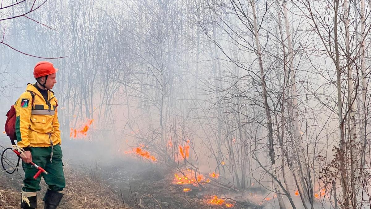 Фото: ФБУ "Авиалесоохрана"