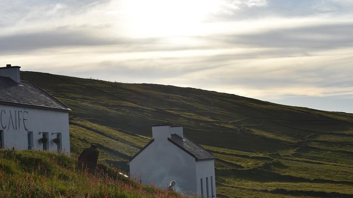 Фото: instagram.com/greatblasketisland/