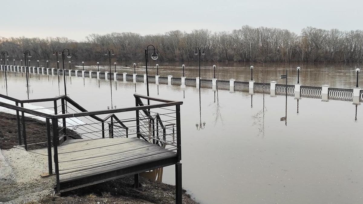 Мэр Оренбурга предупредил о беспрецедентном уровне воды в городе — РБК