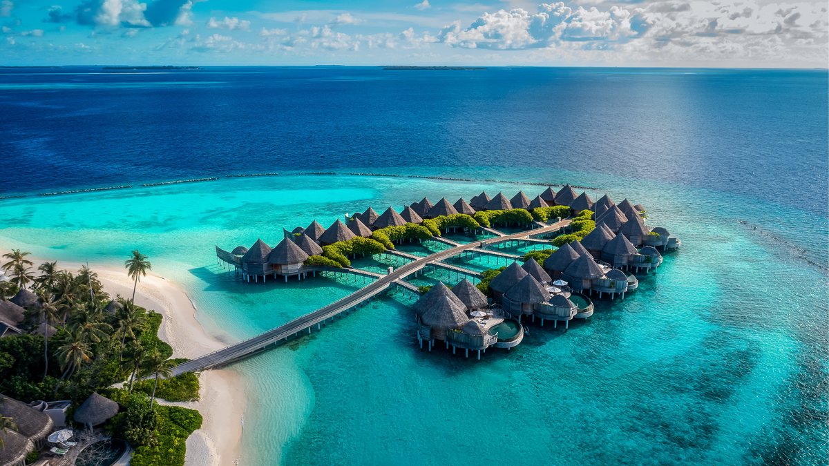 Остров без границ: чем заняться на курорте The Nautilus Maldives | РБК Стиль