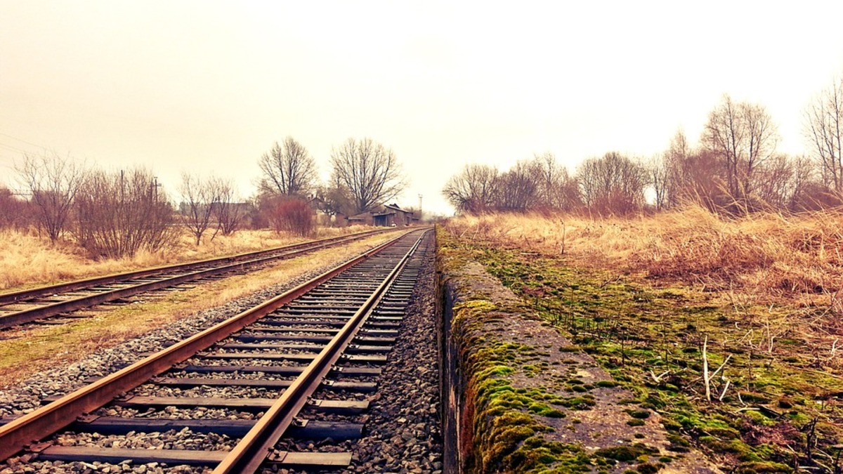 Фото: pixabay.com