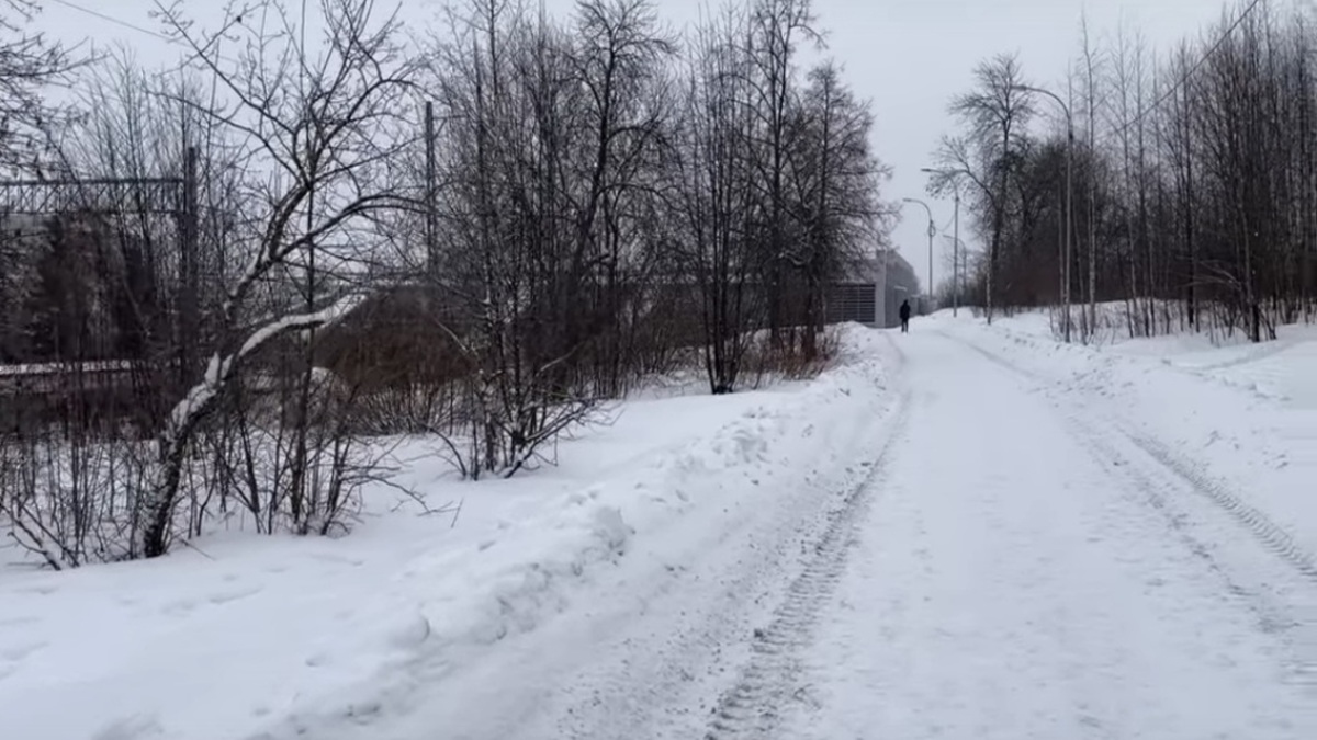 Фото: администрация Петрозаводского городского округа / vk.com