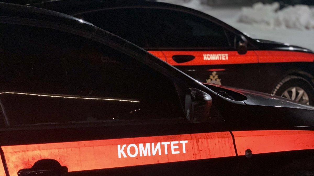 Фото: Следственный комитет РФ