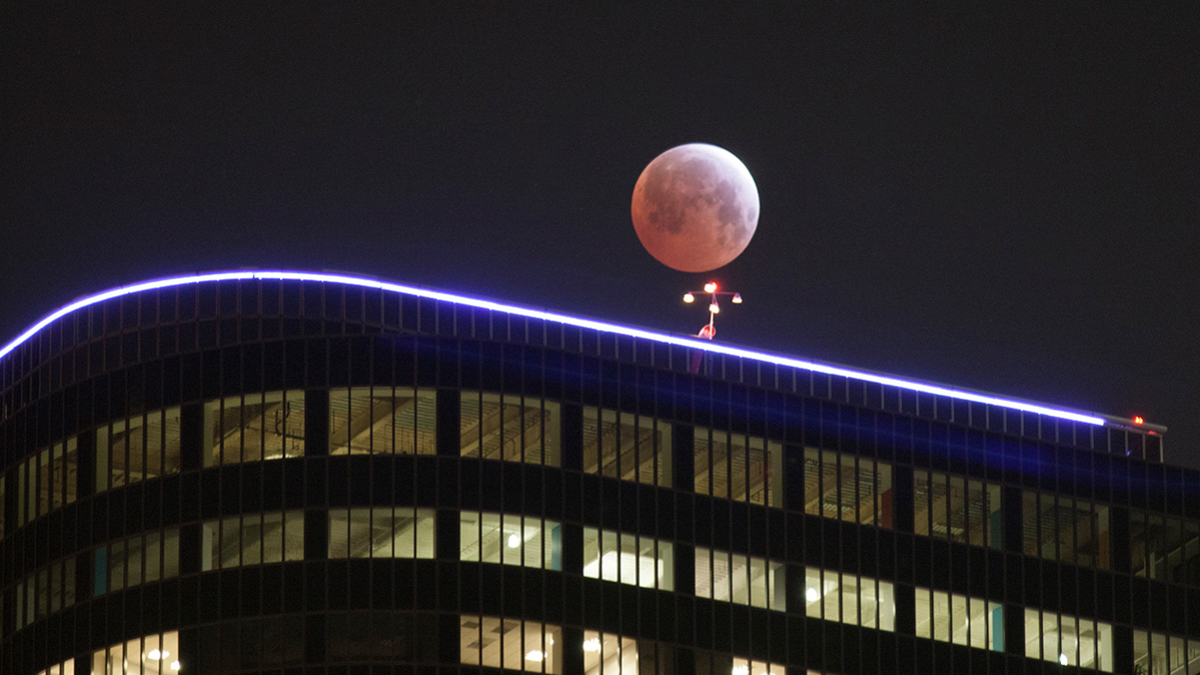 Фото: David McNew / Getty Images