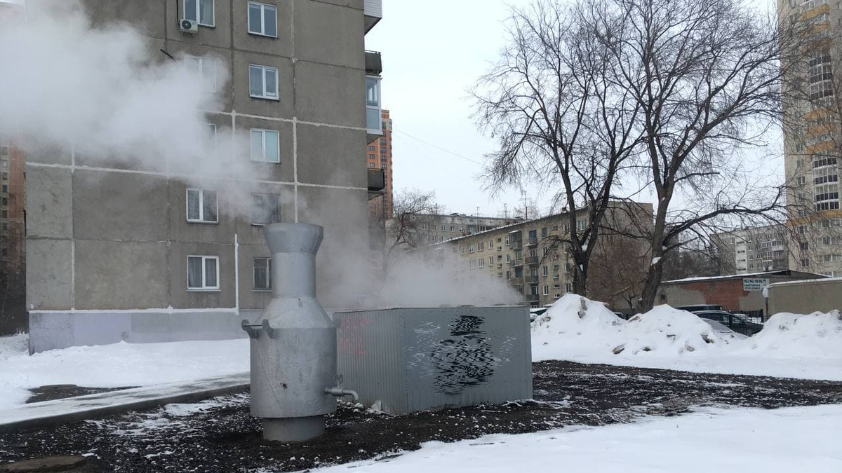 Фото: РБК Новосибирск