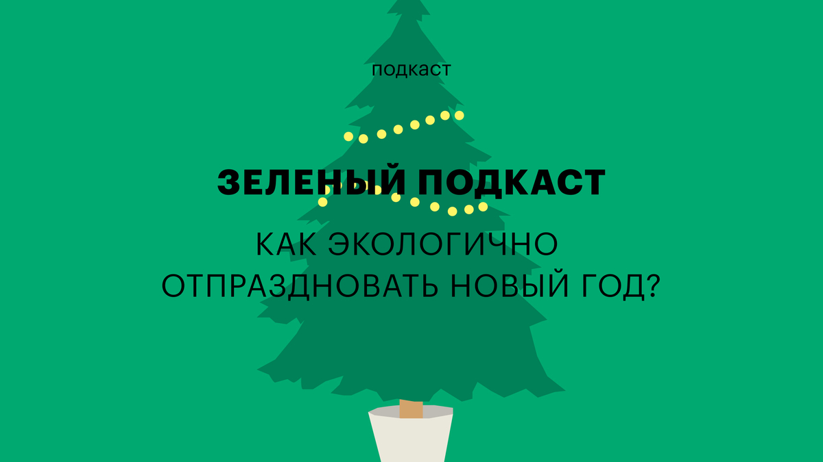 Как отпраздновать Новый год экологично: «Зеленый» подкаст «РБК Трендов» |  РБК Тренды