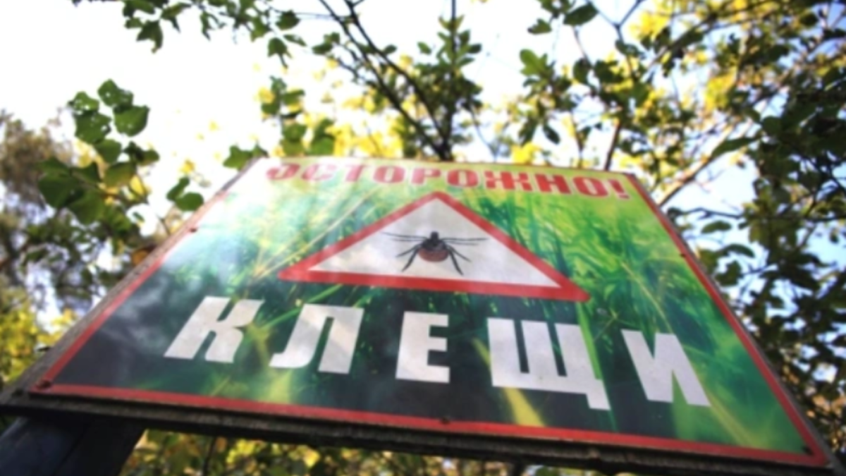 Фото: Саенко Александр / PhotoXPress.ru