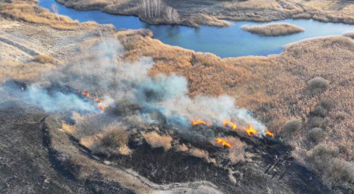Фото: Пресс-служба ГУ МЧС по Нижегородской области