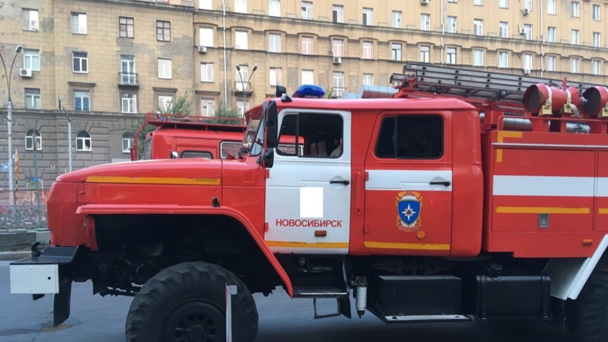 Фото: РБК Новосибирск