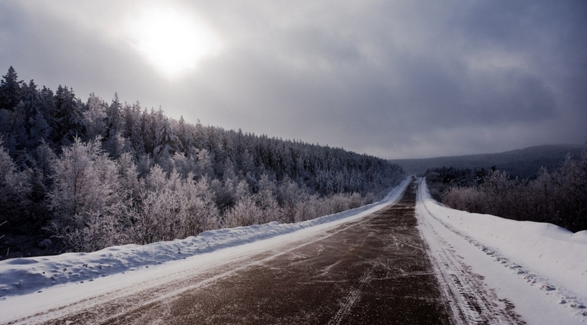 Фото: photocentra.ru