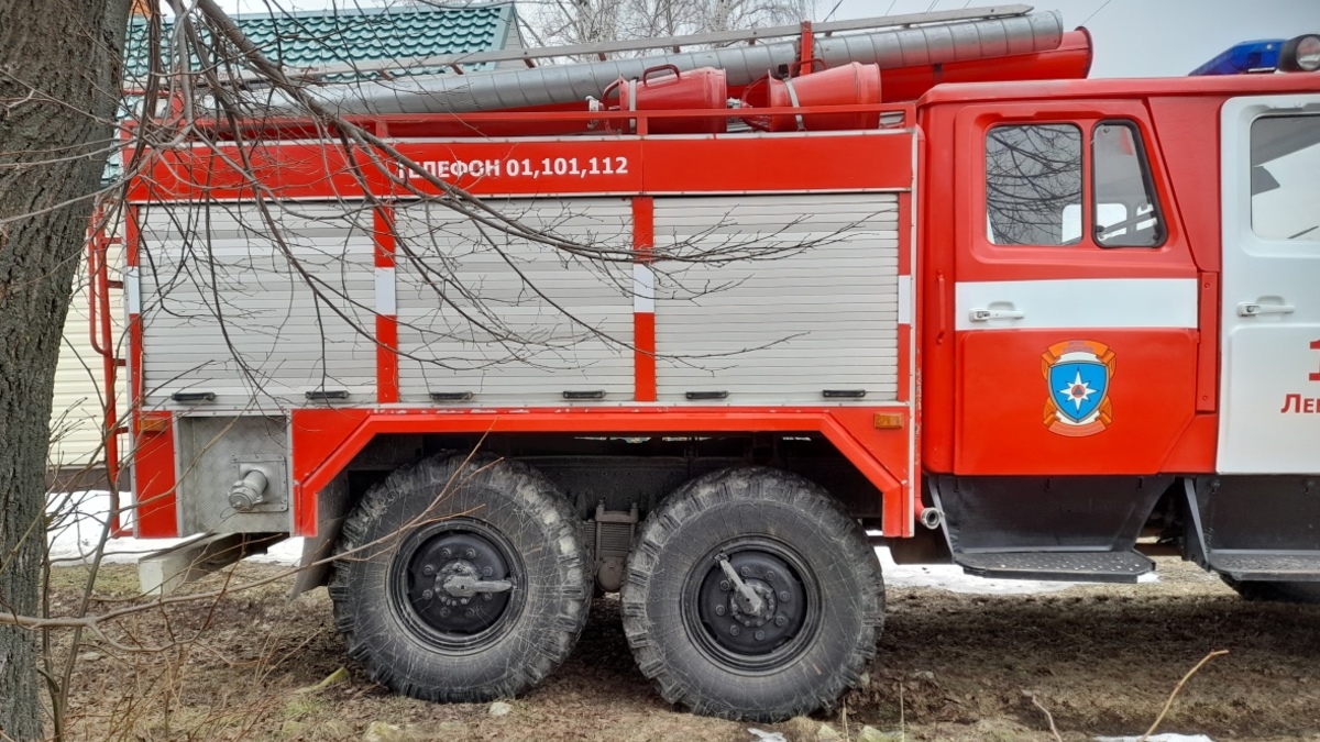 Фото: РБК Черноземье