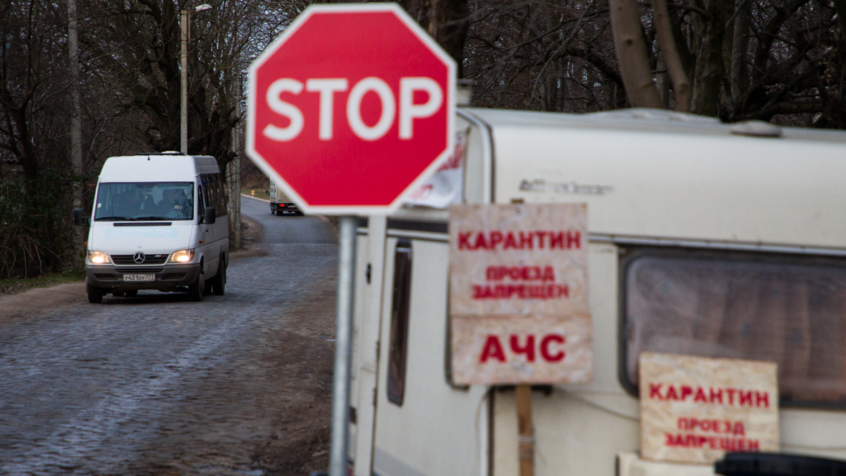 Фото: Александр Подгорчук