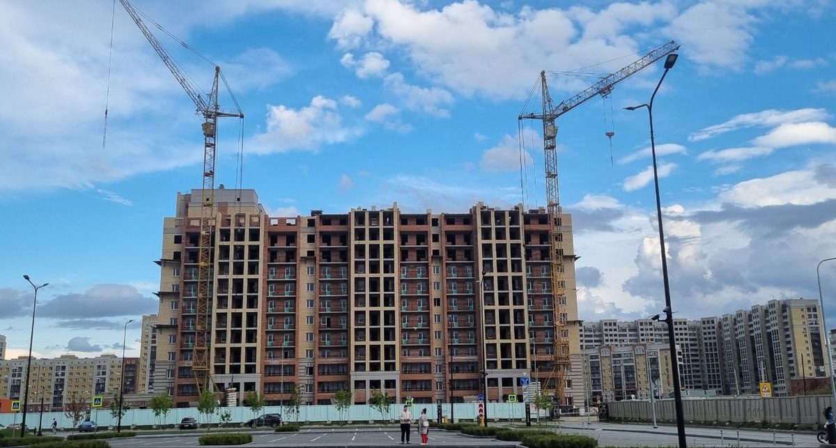 Фото: Алексей Коваленок / РБК Новосибирск