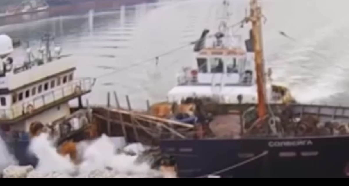 Фото: скриншот видео