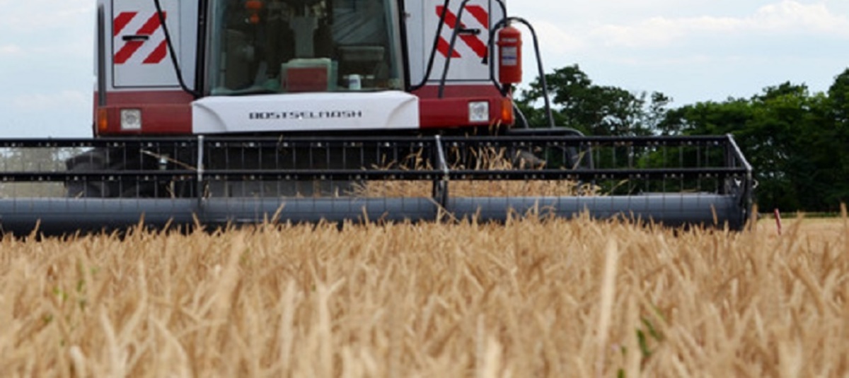 Фото: agro.ru