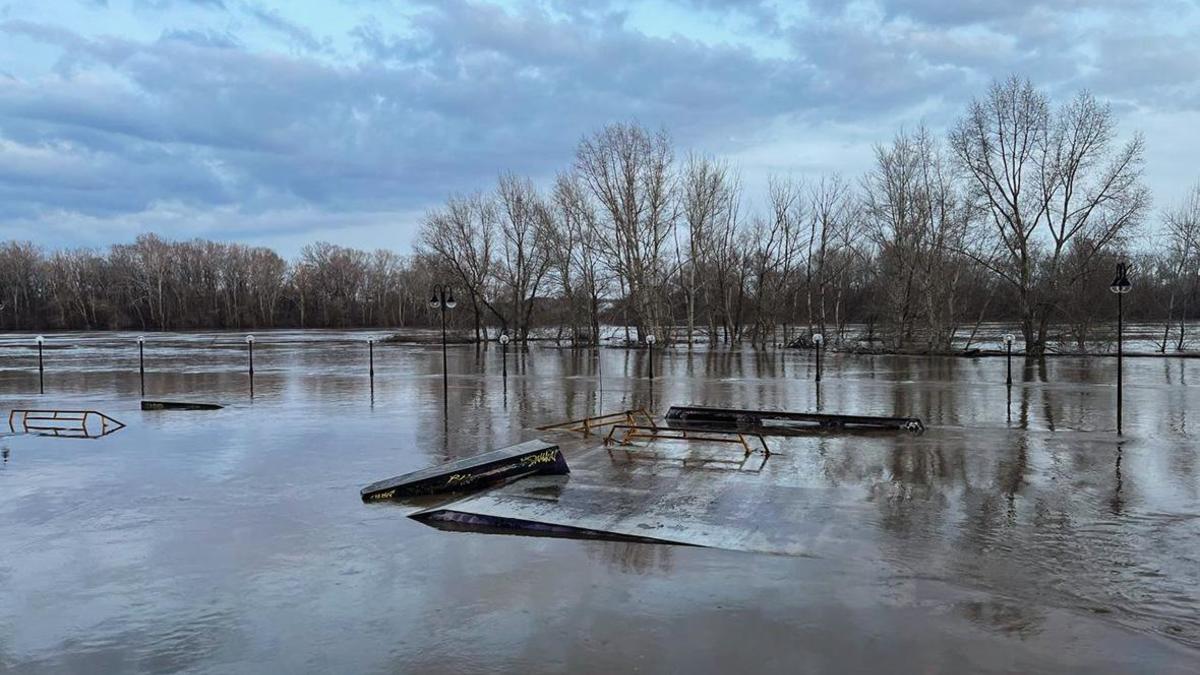 Мэр Оренбурга сообщил о повышении уровня воды в Урале до 1010 см — РБК