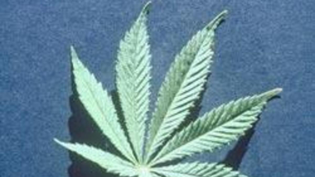 Скрыть употребление марихуаны hydra что это за сайт отзывы linkshophydra