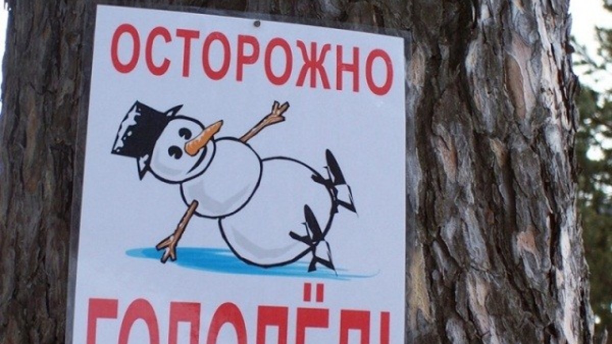Фото: vsenovostint.ru