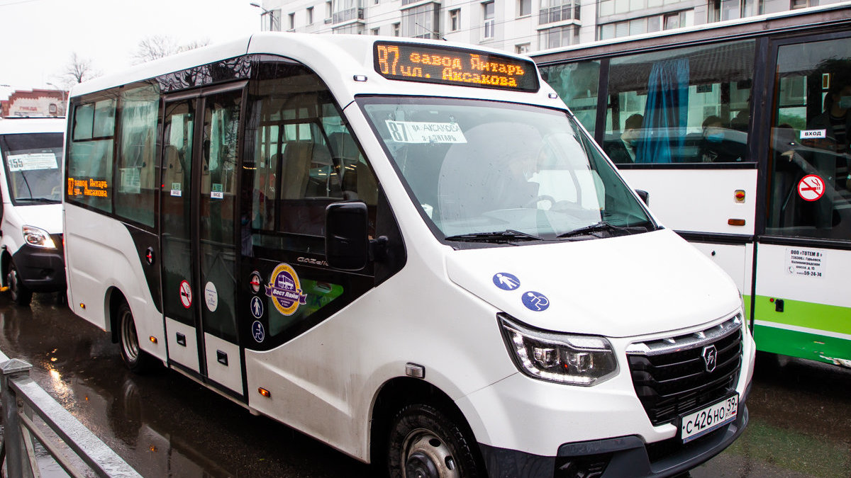 Новый автобусный маршрут в Калининграде пойдет через центр — РБК