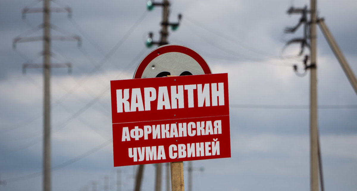 Фото: Александр Подгорчук