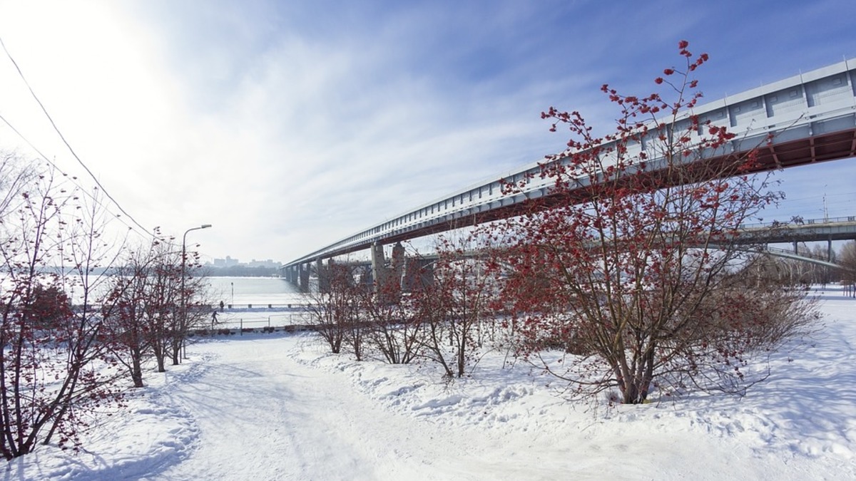 Фото: pixabay.com