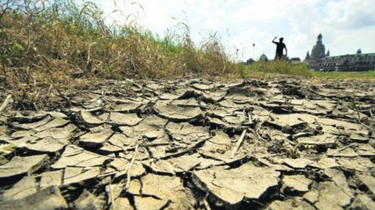 Фото: miragro.com