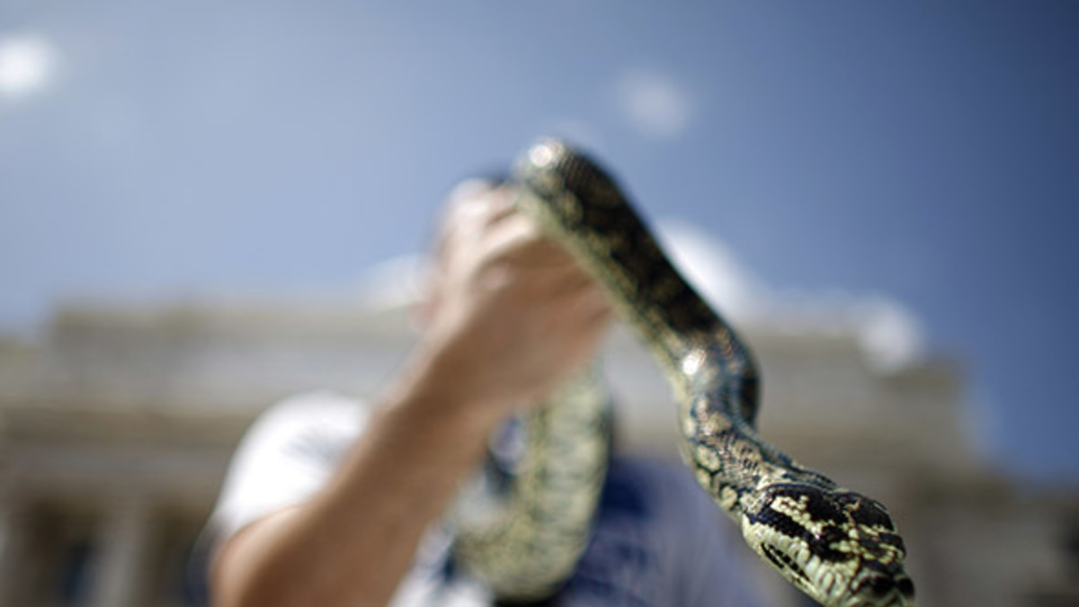 Фото: AP
