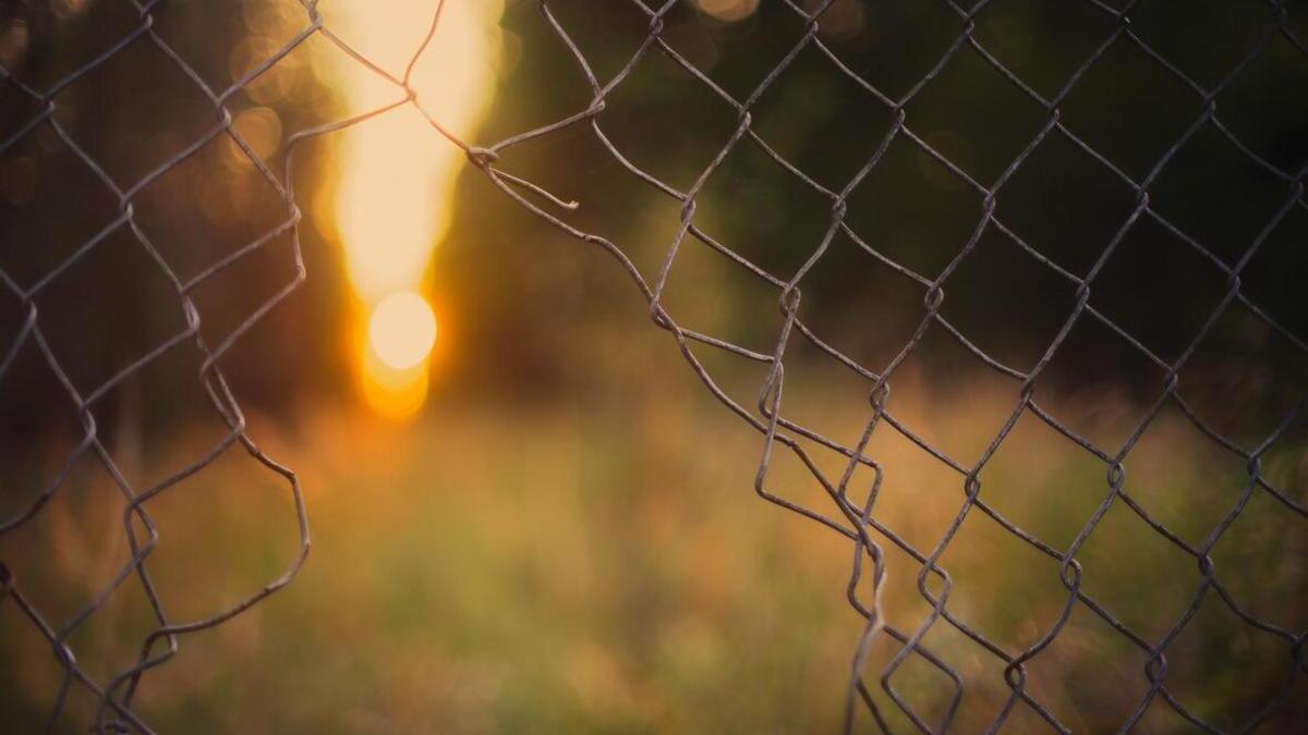Фото: pixabay.com