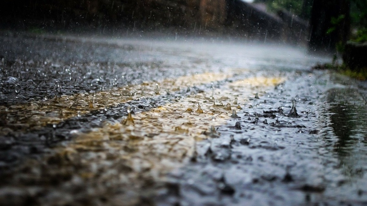 Фото: pixabay.com
